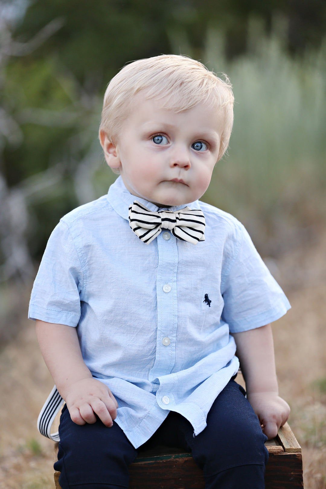 Black and Cream Stripe Bow Tie