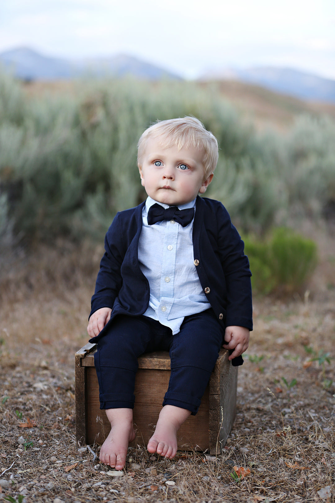 Solid Navy Blue Bow Tie