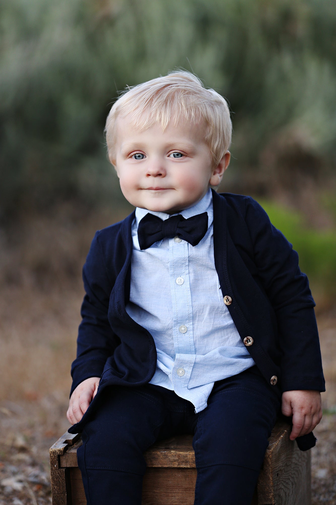 Solid Navy Blue Bow Tie