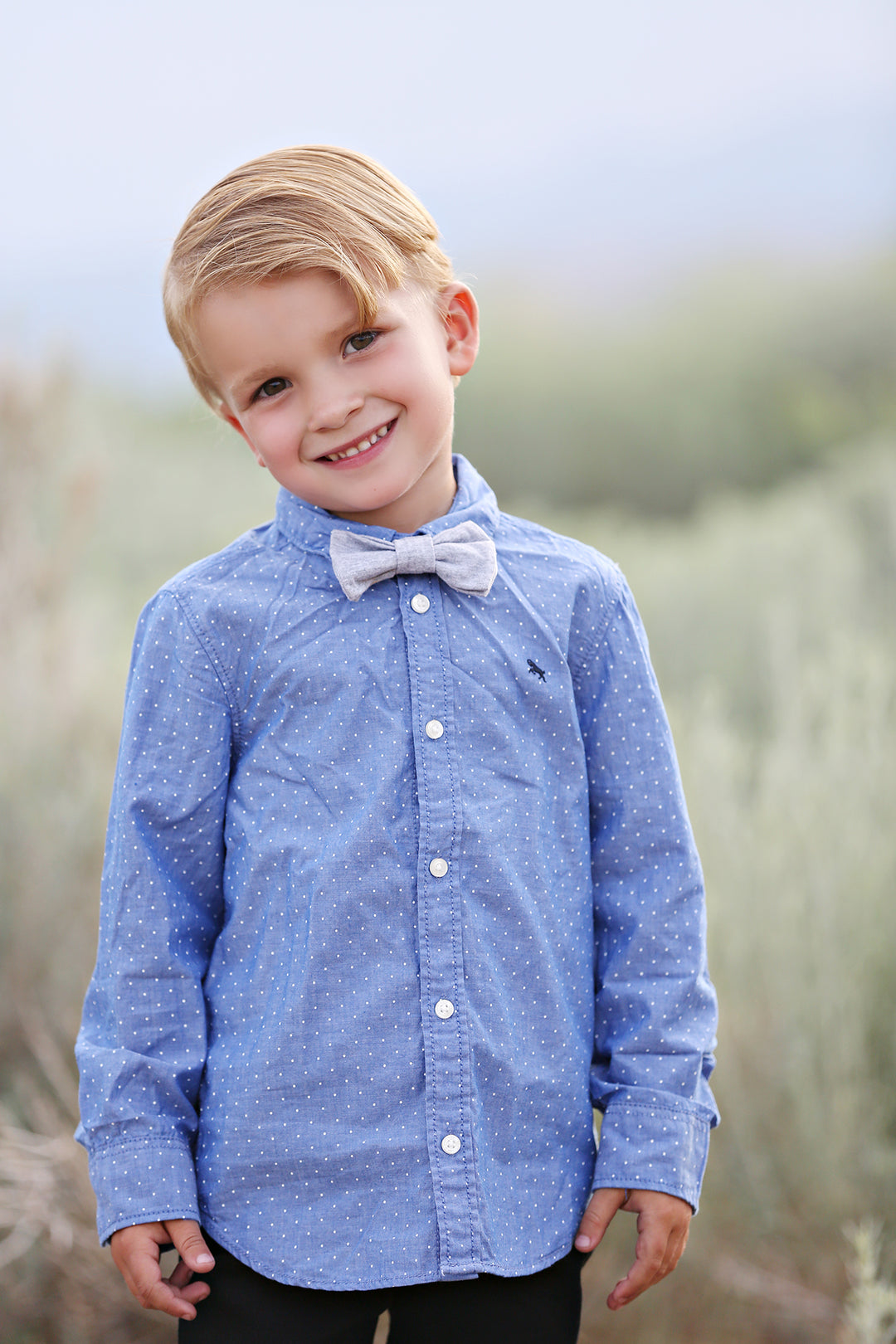 Light Heather Grey Bow Tie