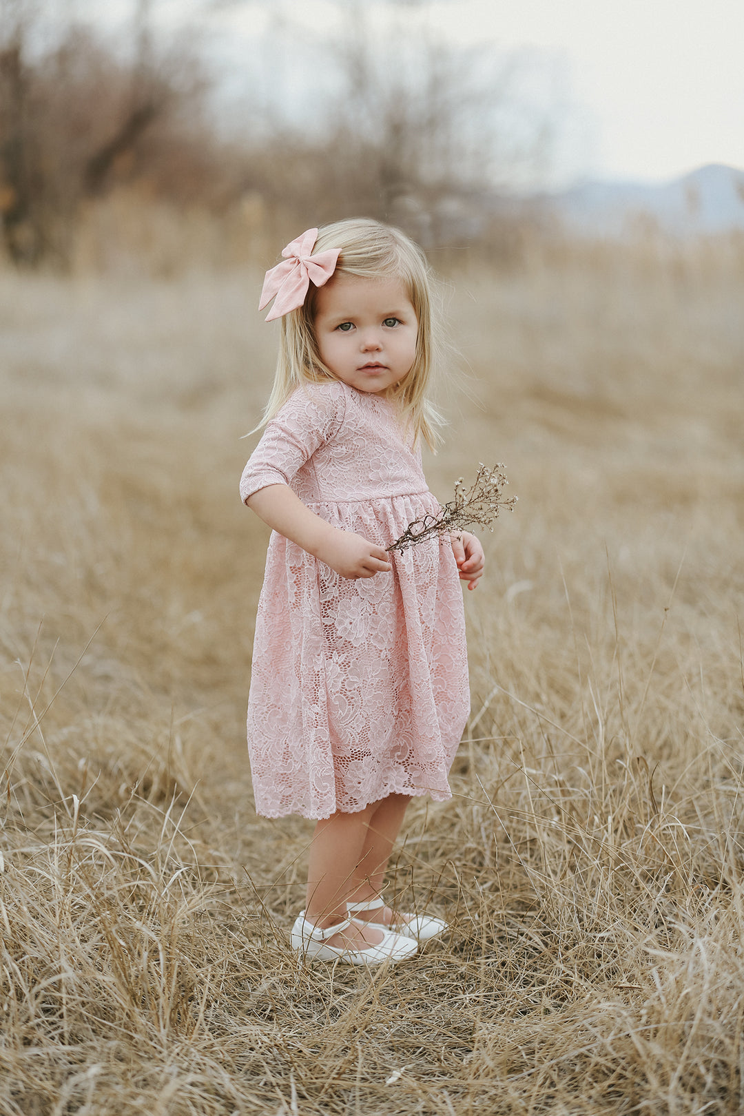 Amelia Rose Lace Dress