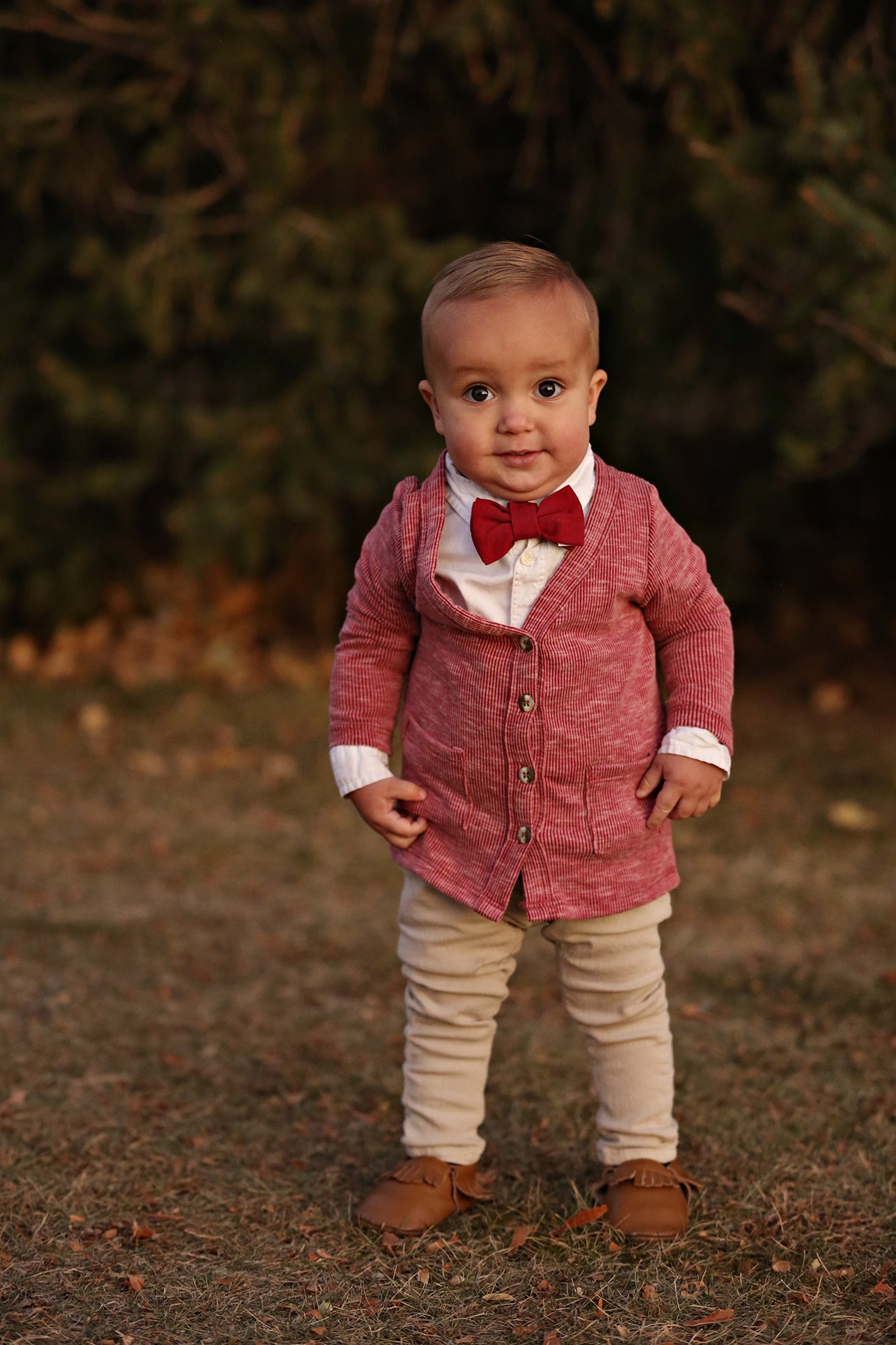 Ruby Bow Tie