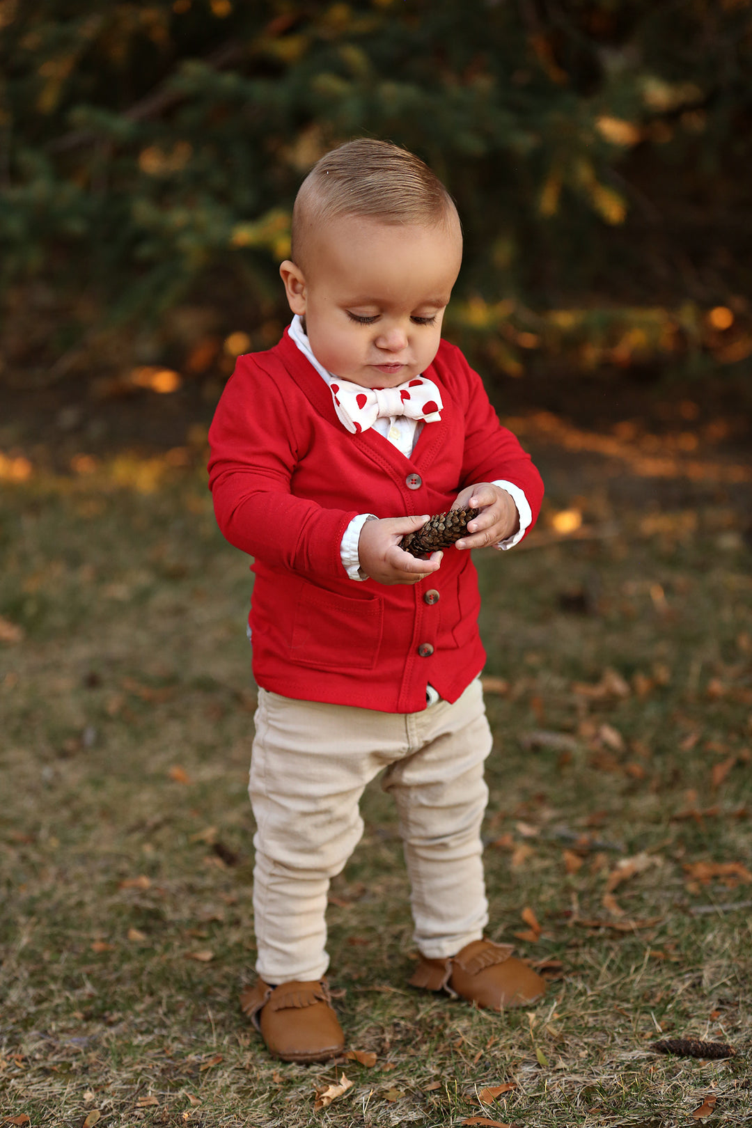 Red Polk A Dot Bow Tie