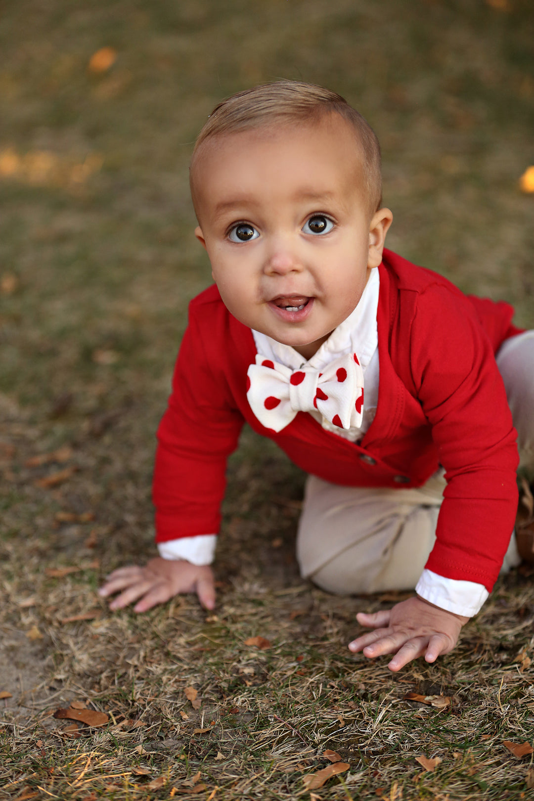 Red Polk A Dot Bow Tie