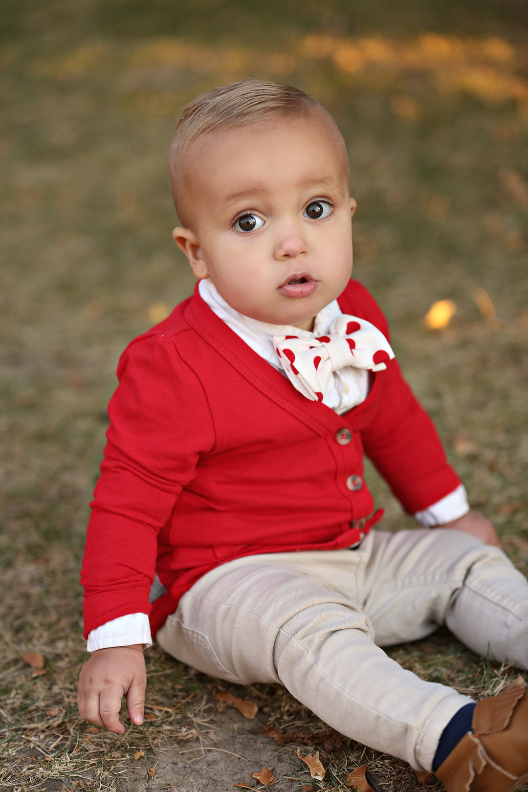 Red Polk A Dot Bow Tie