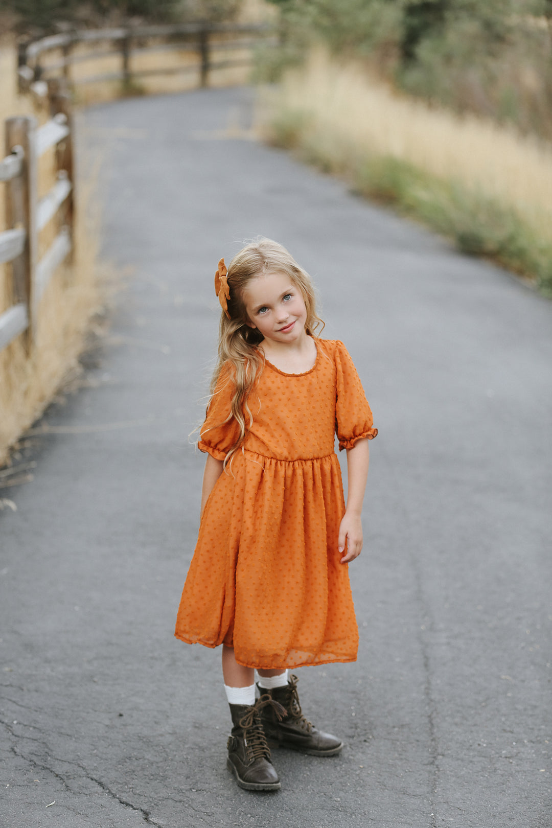 Mia Rust Swiss Dot Dress