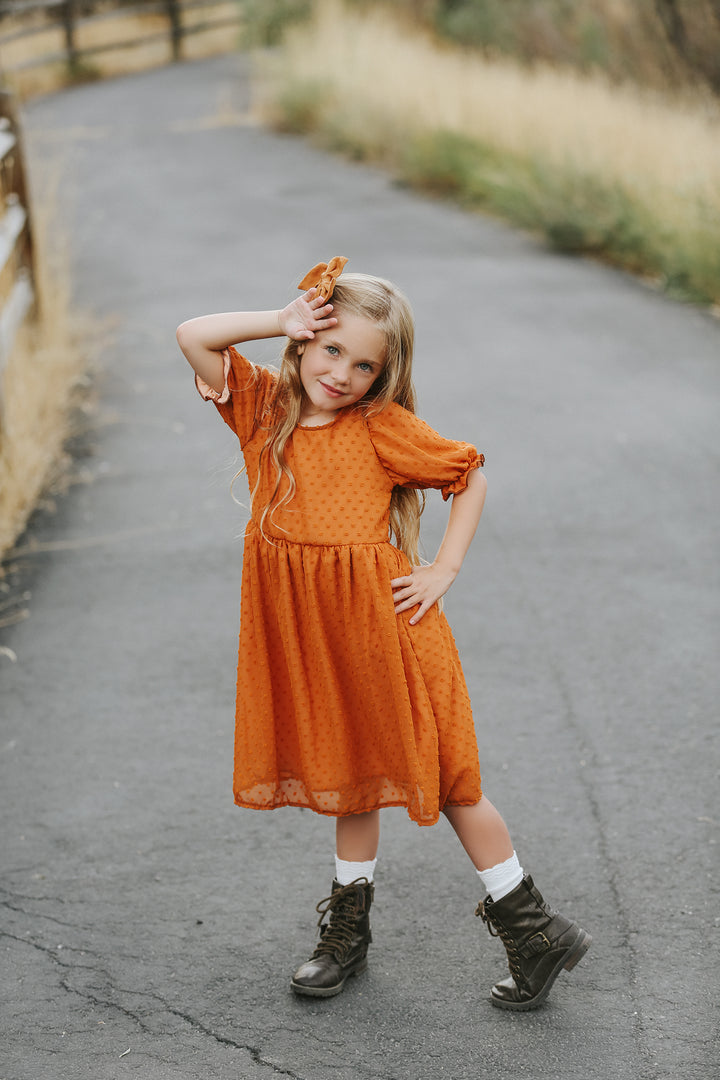 Mia Rust Swiss Dot Dress