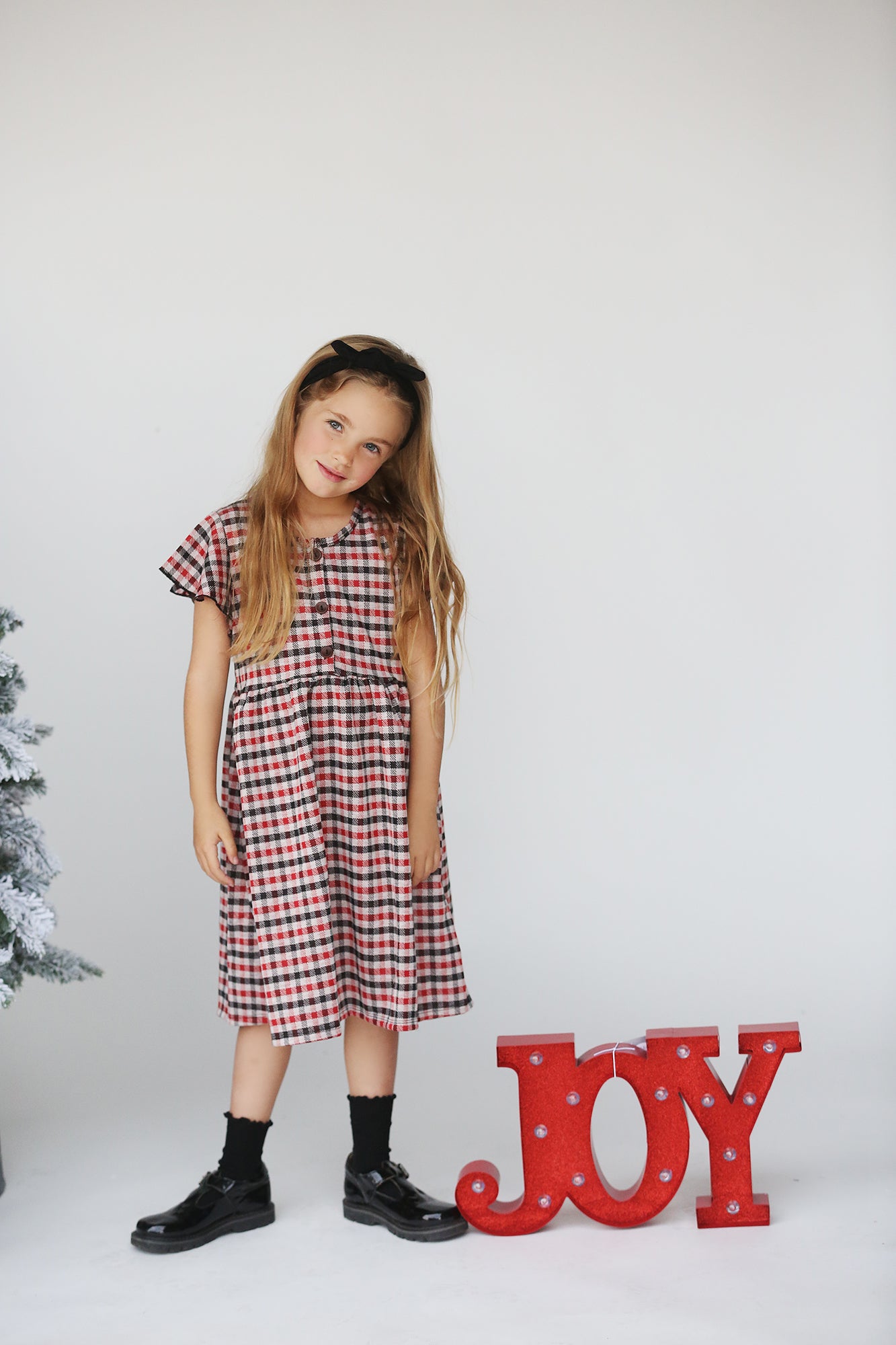 Haven Red Plaid Dress