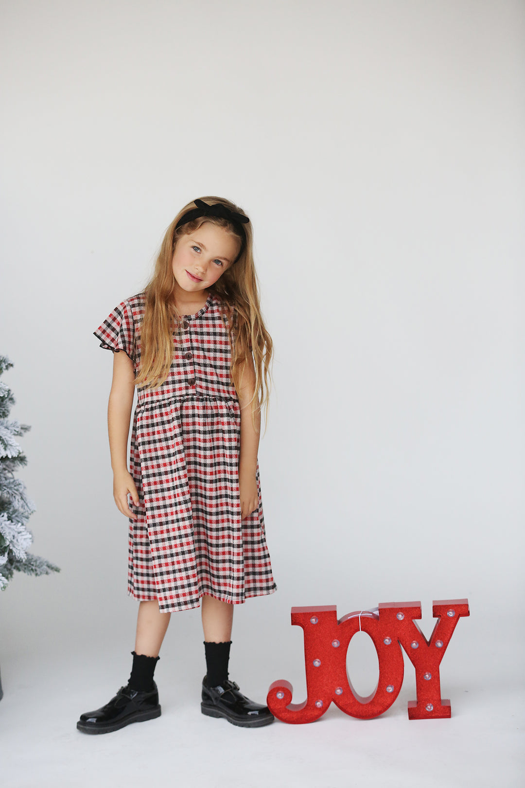 Haven Red Plaid Dress